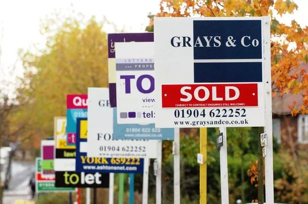 For sale signs.