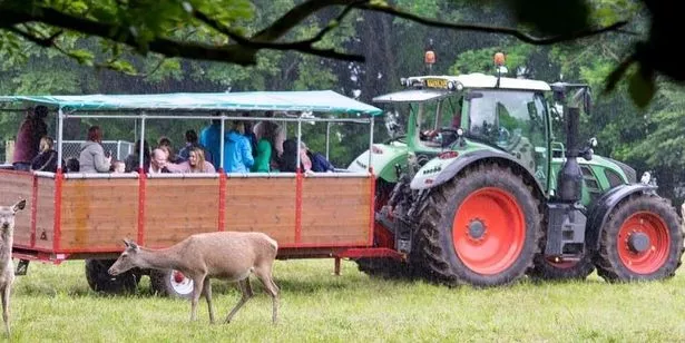 Deer safari at Sledmere