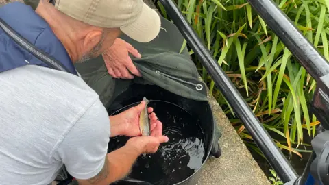 A man leaning over a bucket holding a small fish in his hands.