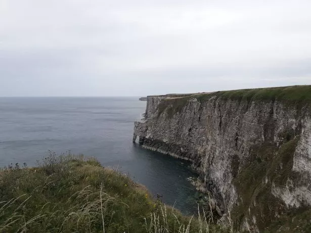 RSPB Bempton Cliffs in East Yorkshire is beautiful every time of year
