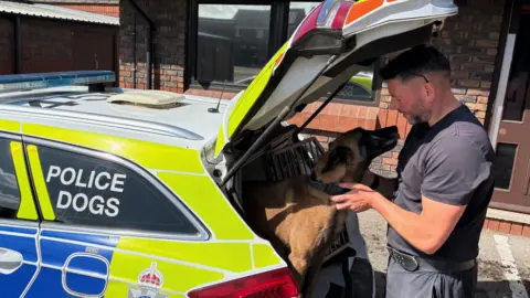 Kevin Shoesmith/BBC A police officer pets his working dog who has his head sticking out of a cage in the back of a police car. 