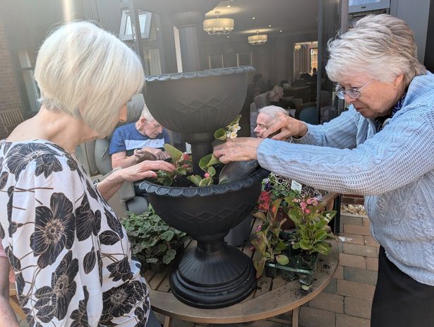 Getting some containers planted up and pretty