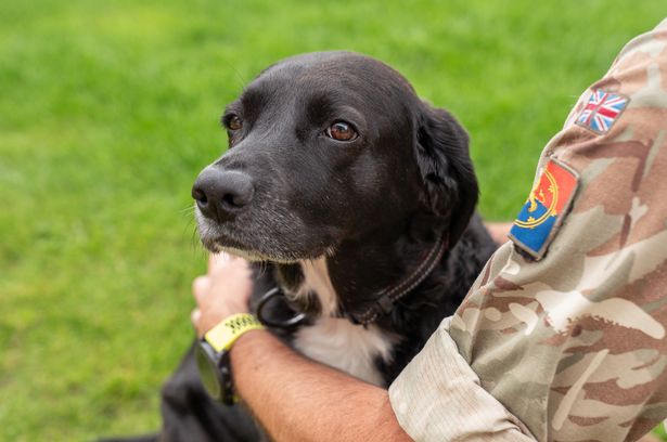 A service member with his dog Luna at SFA Whittington
