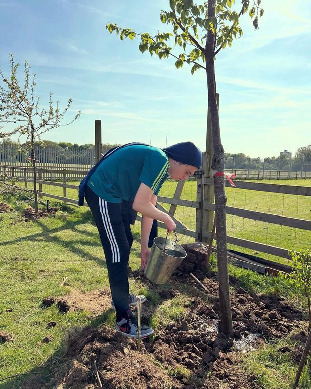Caring for trees with Rewilding Youth in Hull