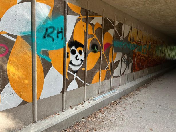 A Hessle mural has been vandalised