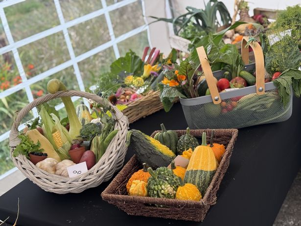 Newland Allotments' annual produce show exhibits