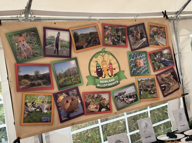 Newland Allotments, off Newland Avenue, Hull, is the largest and oldest allotments in Hull and East Yorkshire