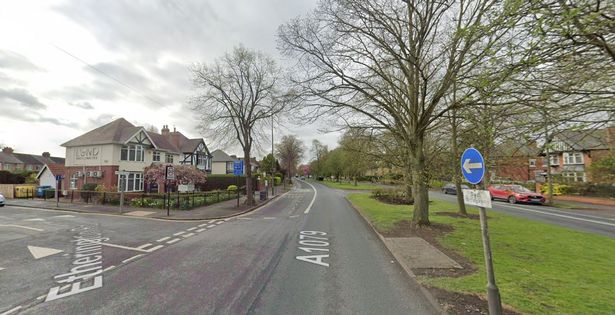 Humberside Police said the alleged incident took place on Beverley Road near to the junction with Etherington Road