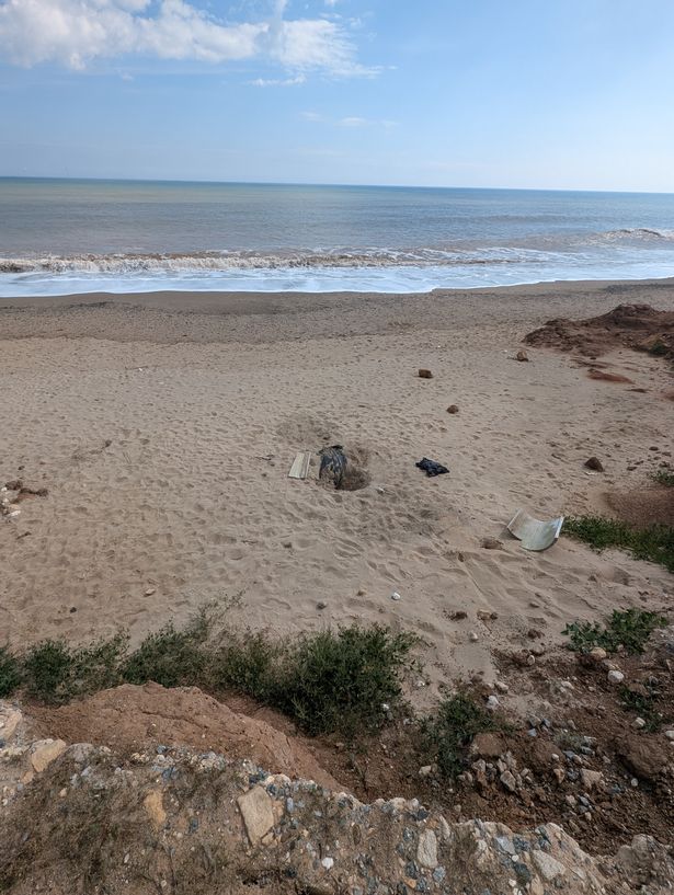 The location where the dog was found
