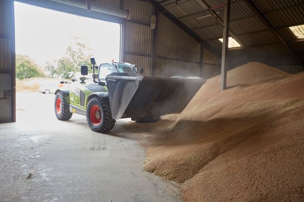 Pickering F & Son farm, Gainsborough, where some of the wheat is collected for bioethanol