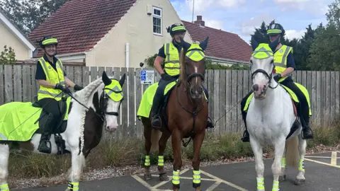 BBC News Three horses in high vis, the horse on the left is white with dark spots and a braided mane, the central one is large and brown and the horse on the right is white. The women riding are also wearing high vis and head cams.