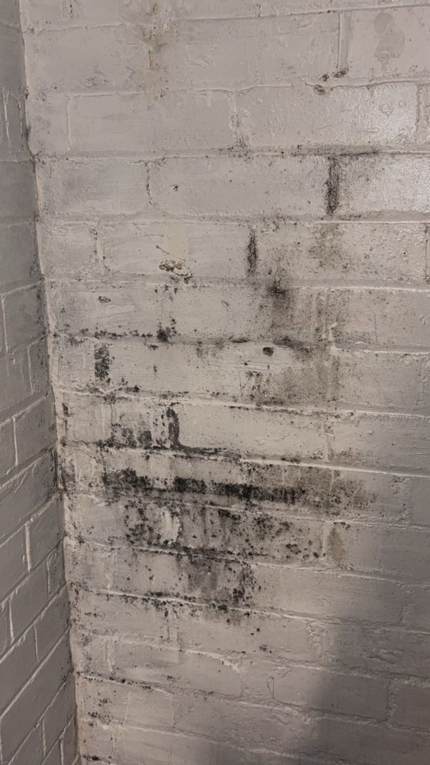 The mum said she has tried to remove black mould off the walls inside her flat