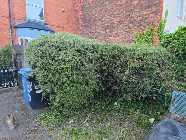 An area of Drypool will become an improved social space thanks to Pocket Park programme.