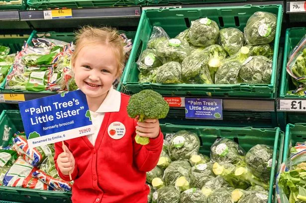 Six-year-old Emilia has renamed broccoli 'Palm Tree's Little Sister' as part of the Tesco Fruit and Veg for Schools programme 