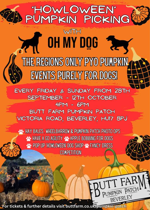 There are plenty of new additions to the event this year