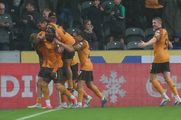 Baby steps forward: Hull City have won two of their first three home games this season 