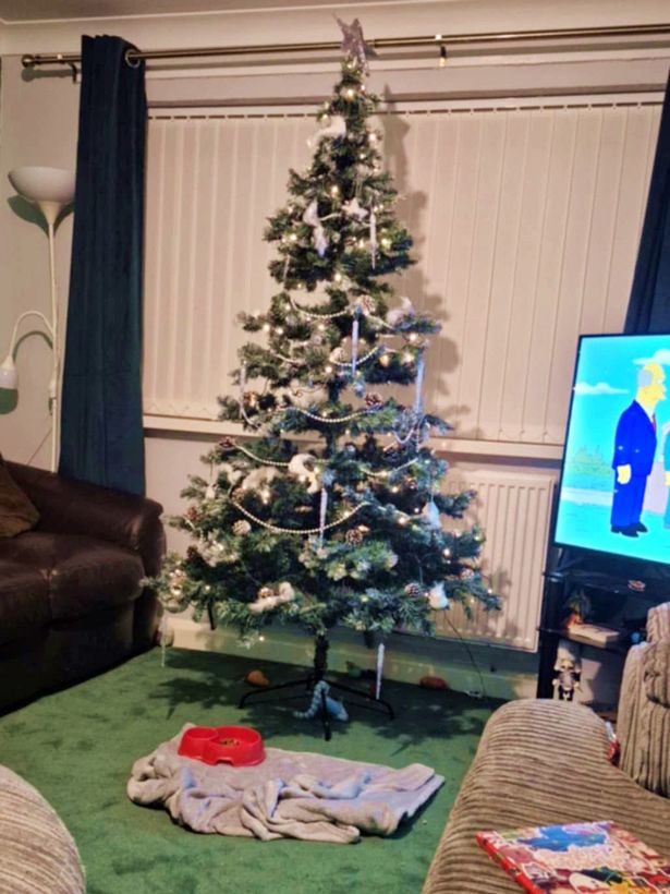 Karyssa Bates spare Christmas tree