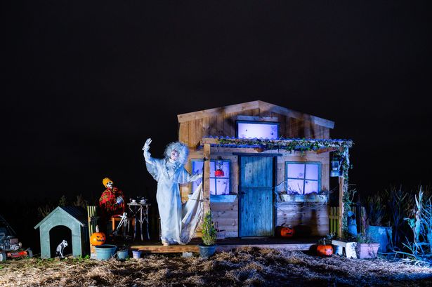 The 2024 Halloween event at William's Den in East Yorkshire