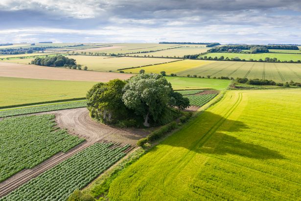 The Willy Howe burial mound near Burton Fleming, East Riding of Yorkshire.