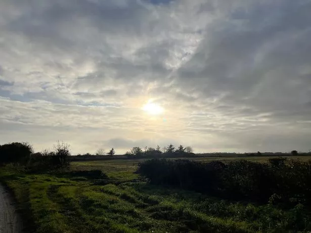A walk from Welwick towards the Humber