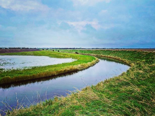 A walk from Welwick towards the Humber