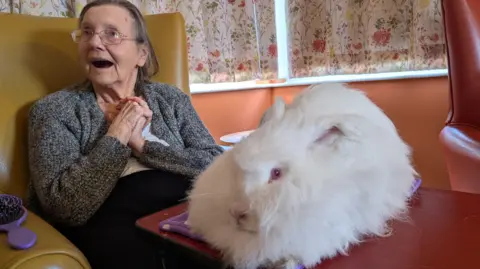 HICA Group An elderly woman is sat in a yellow armchair. She has thin wired glasses, a grey speckled cardigan and grey shoulder-length hair. Her hands are clasped together, and her mouth is open as if reacting. Beside her, on a small red table, sits a fluffy white rabbit with pink eyes. The background includes floral curtains and an orange wall.