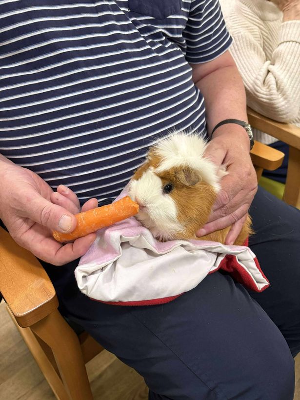 Savannah Bryan has set up Guinea Be Okay in Hull