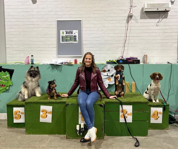 The Halloween Dog Show is being staged at The Dog Hub on Chanterlands Avenue.