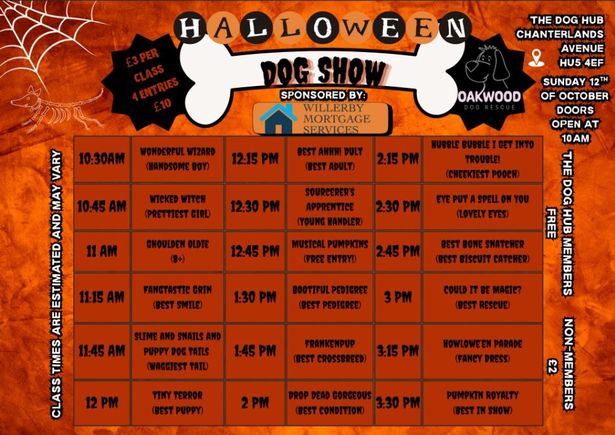 The show includes Halloween-inspired classes such as Tiny Terror and Pumpkin Royalty.