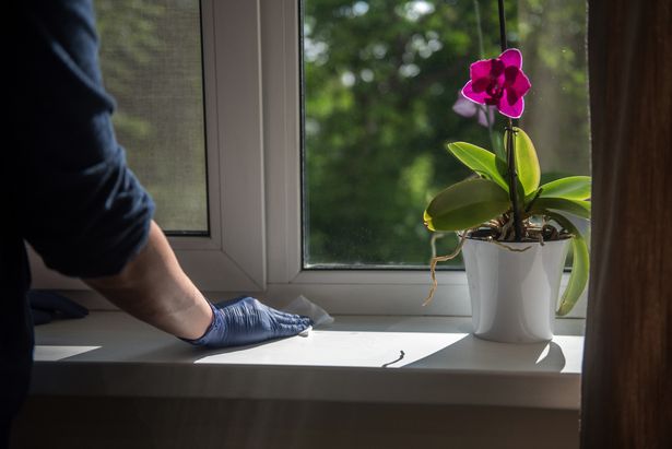 Disinfecting the window sill
