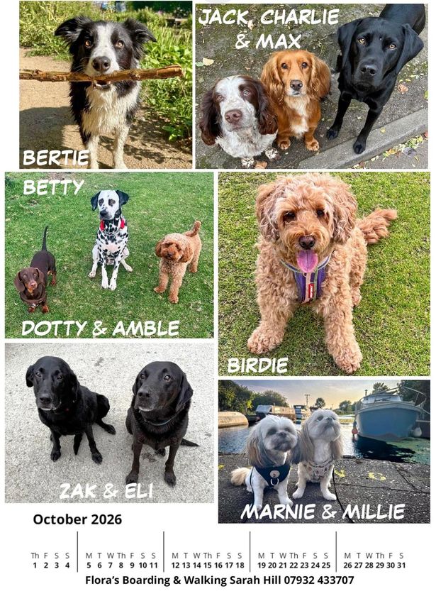 Tim has so far managed to raise £2,065 for Young Lives vs Cancer