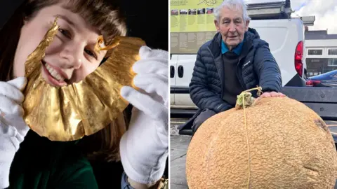North Yorkshire Council/BBC A split image showing two distinct objects: On the left, a person wearing white gloves is holding a large, shiny, gold-coloured artefact that appears to be a decorative or historical item, possibly a piece of metalwork or jewellery. On the right, another person is seated outdoors next to a very large, rough-textured pumpkin or gourd, which is tied with a piece of string.