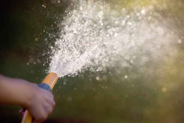 Hosepipe restrictions are now in force in Yorkshire (file photo)