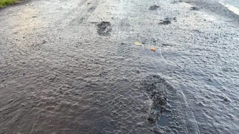 A set of footprints in an asphalt pavement 