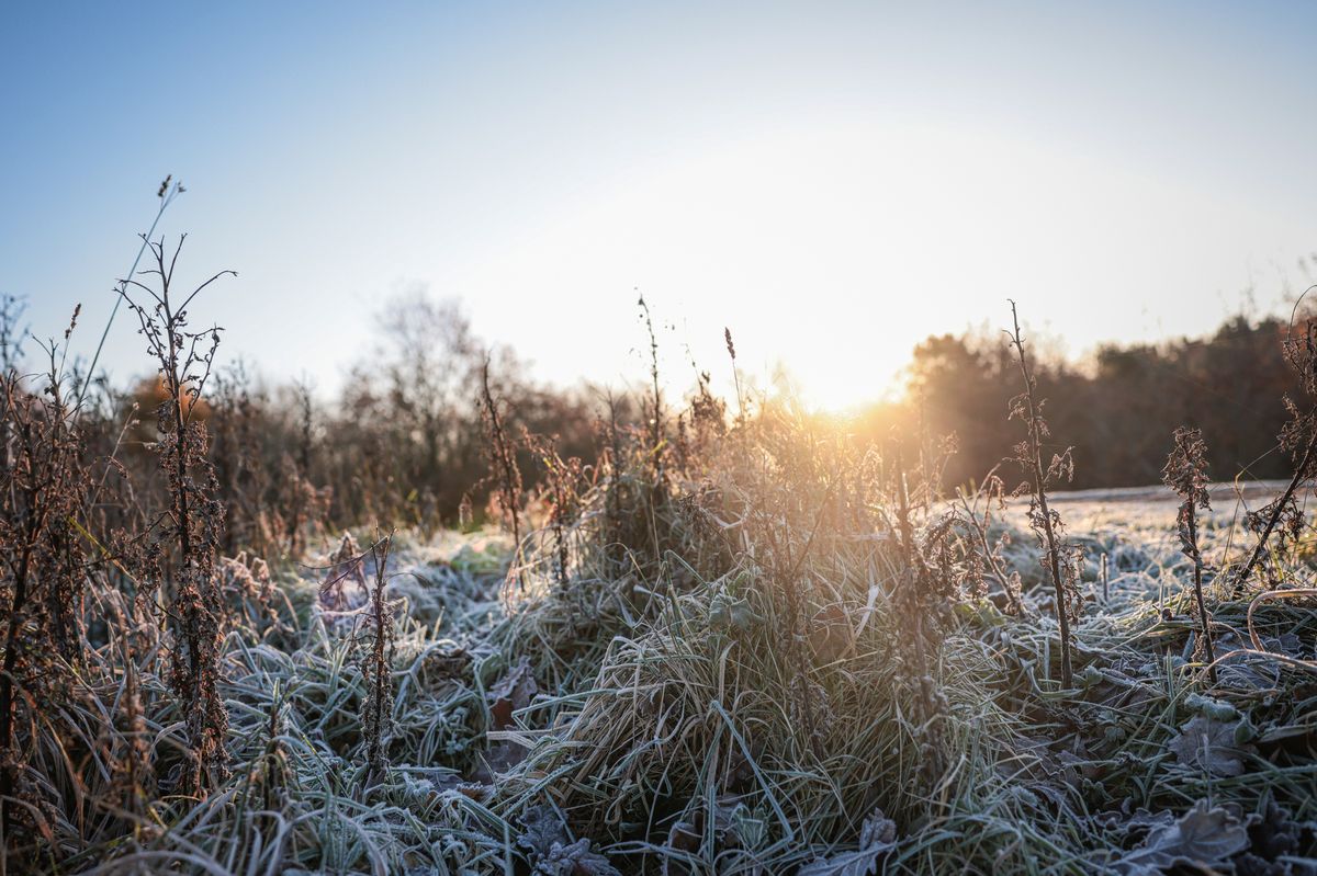 Cold weather is expected to bite in the first days of 2026 