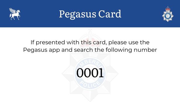 How a Pegasus Card will look