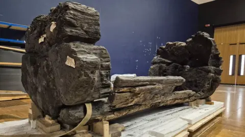 York Archaeological Trust A large hollowed-out oak is wedged on blocks of wood on pallets in a hall. It is large and the wood looks aged but intact.