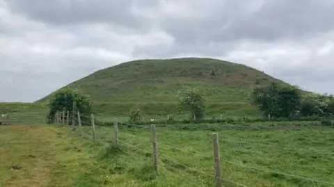 Sally Fairfax/BBC A very large grassy mound with small trees and a wire fence in the foreground. There is a gate on the left leading to the mound. 