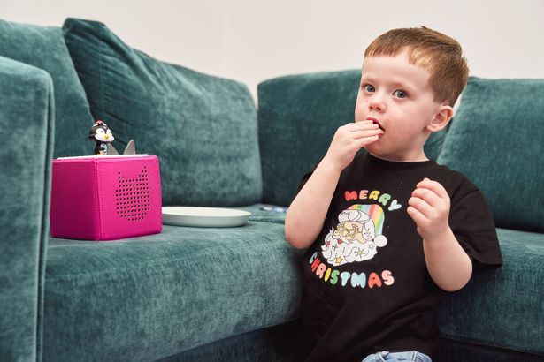 Rufus from Bridlington