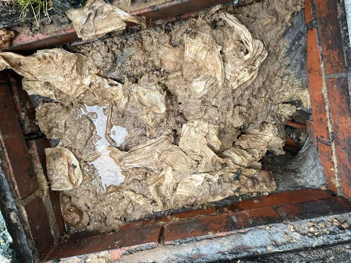 Wet wipes should be thrown in the bin and not flushed down the toilet.