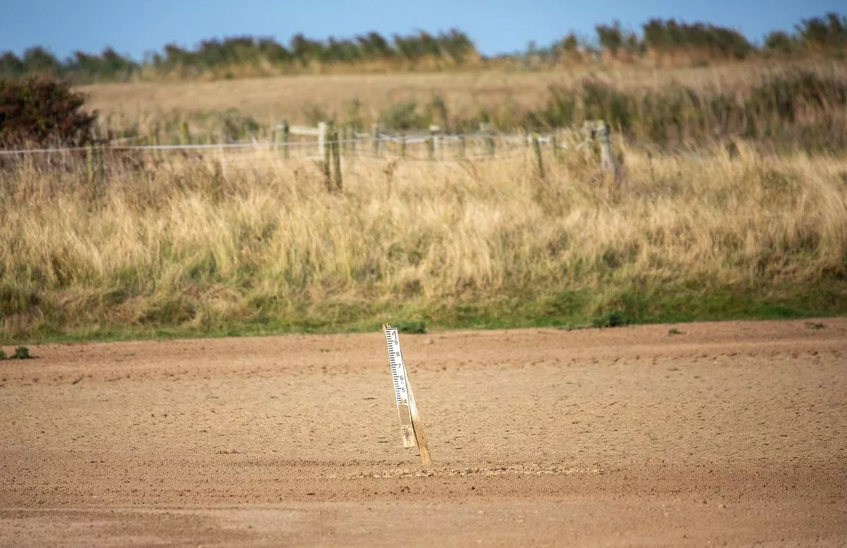 Drought at Kilnsea Wetlands
