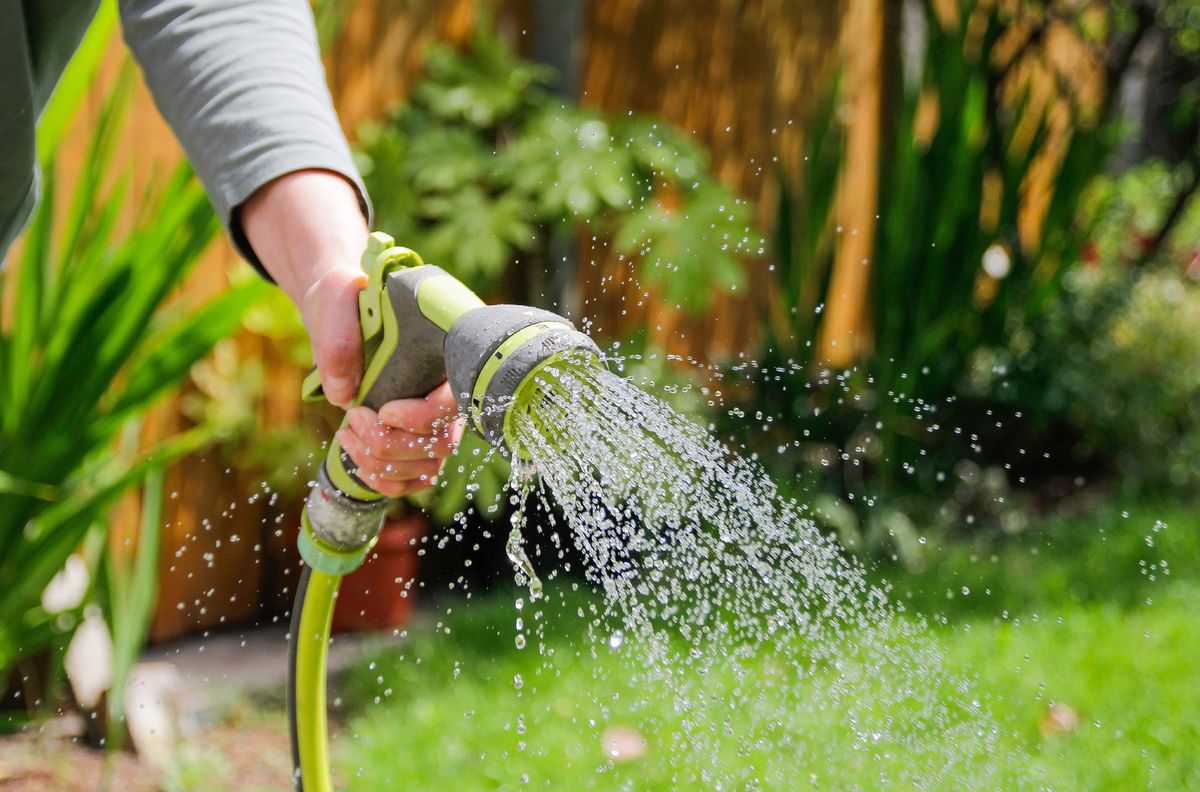 A hosepipe ban has been in force since July