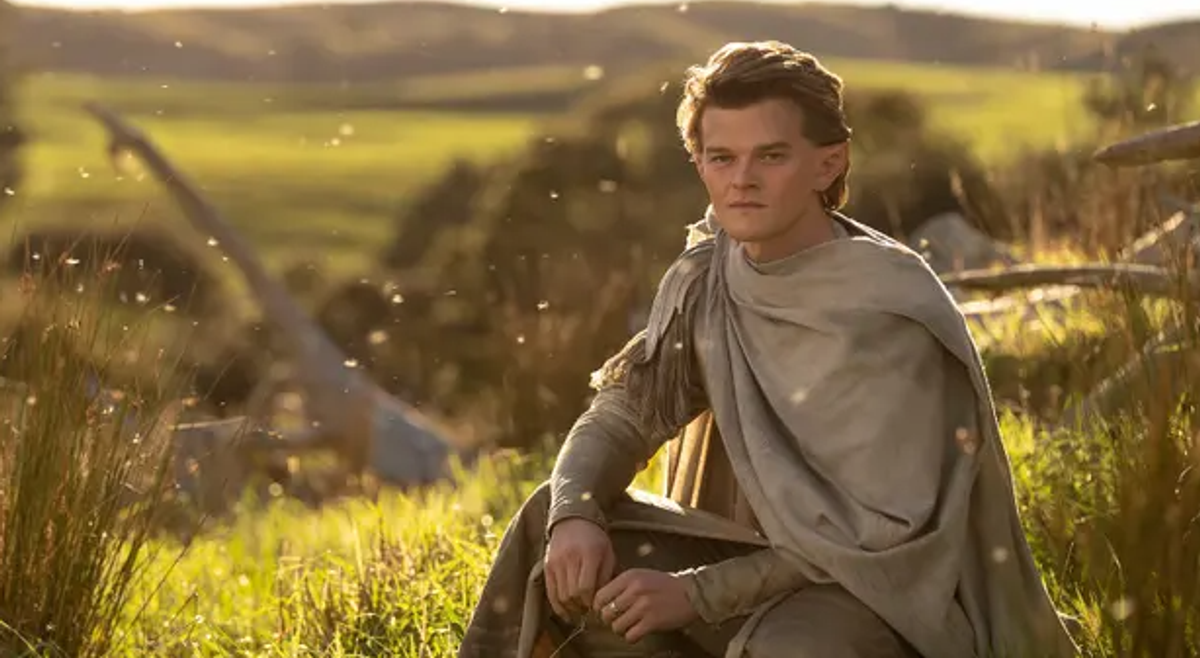 Robert Aramayo was Elrond in The Rings of Power