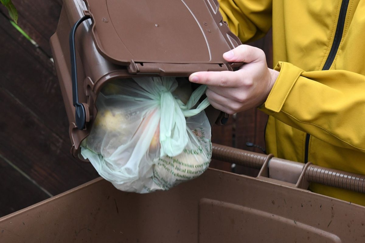 Brown bin collections go weekly starting in February. 