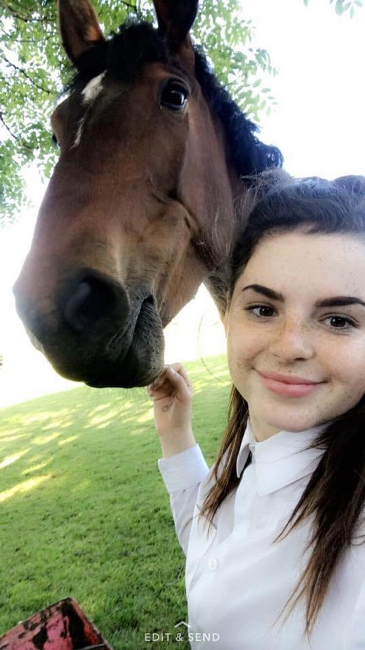 Hollie Tennent entered show jumping competitions and loved animals