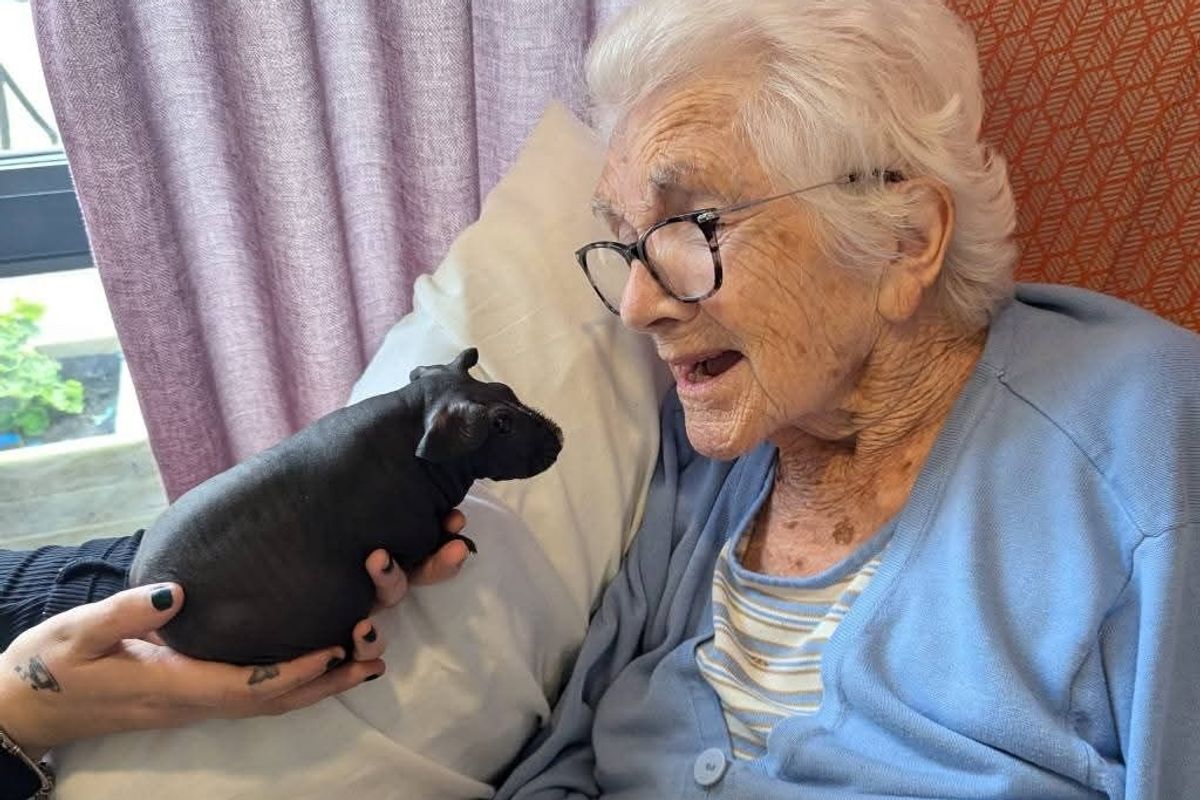 Furry Friends Animal Therapy introduces one of its little creatures to a resident at Mere Hall in Hornsea
