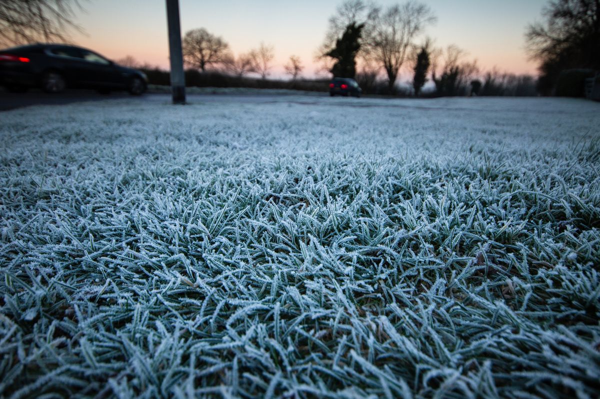 Ice and frost is forecast