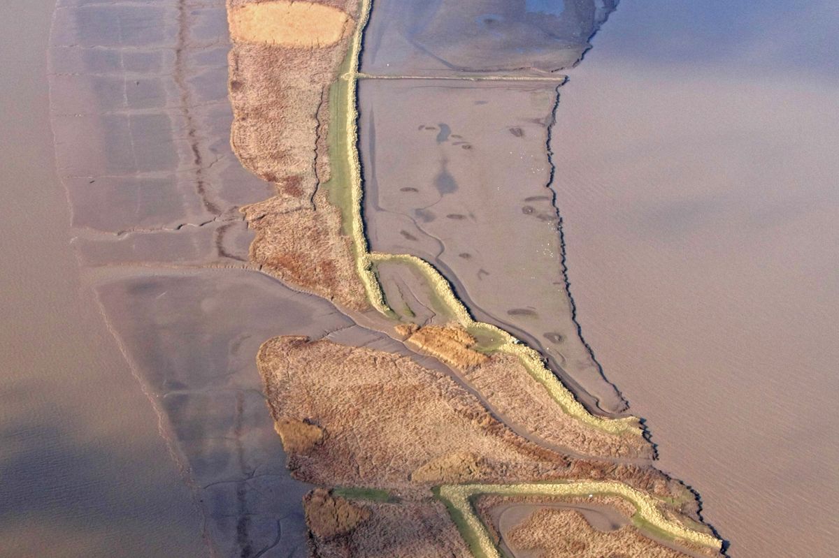 A birds eye view of Read's Island. 