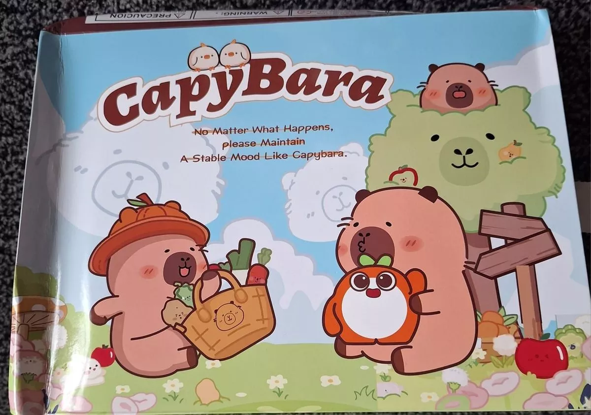 The capybara themed advent calendar