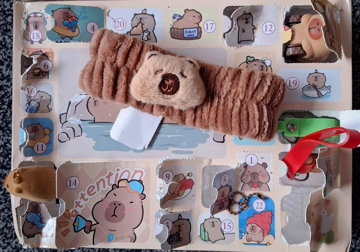 Some of the gifts contained behind the windows of the capybara advent calendar